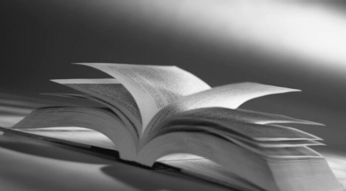 Introduktion till vår bok