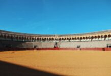 Nya arenor för erfarenhetsutbyte