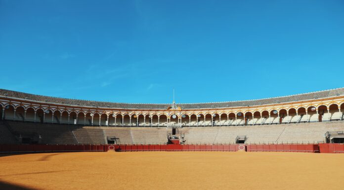 Nya arenor för erfarenhetsutbyte