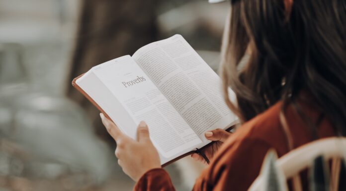 Läs handbok om värdeskapande vetenskapande – själv eller i grupp